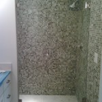 Frameless Shower Door