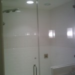 Frameless Steam Shower Door